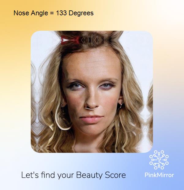 face-score-nose-angle