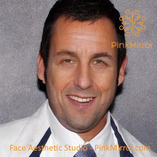 Celebrity Face Analysis - adam sandler