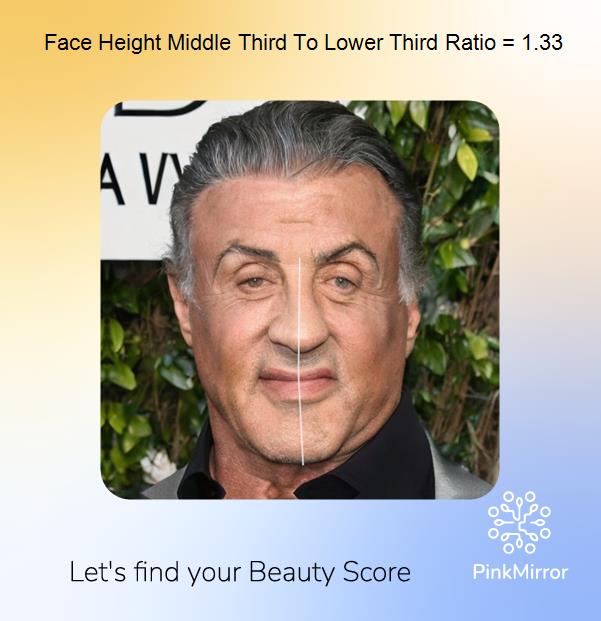 Celebrity Face Analysis Sylvester Stallone 4109