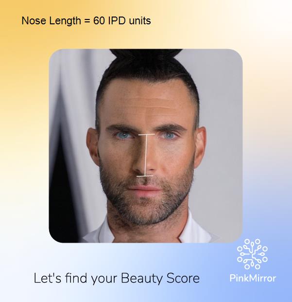 face-score-nose-length