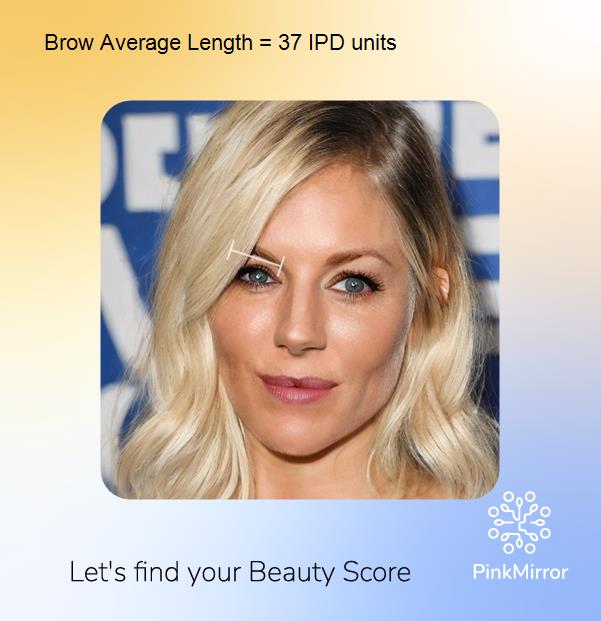 face-score-brow-average-length