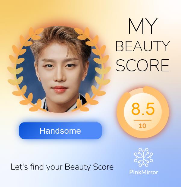 Face beauty Score image