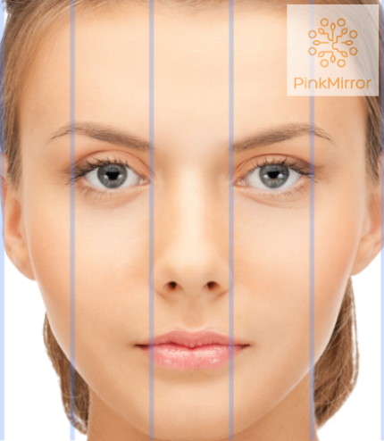 scientifically perfect face test