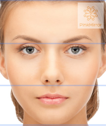 Facial Symmetry and Attractiveness