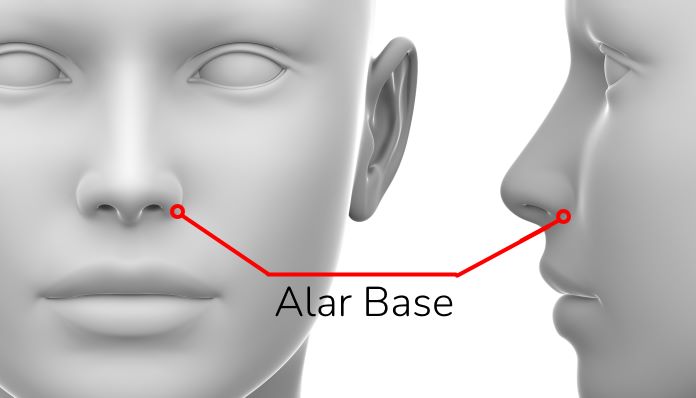 alar-base – PinkMirror Blog