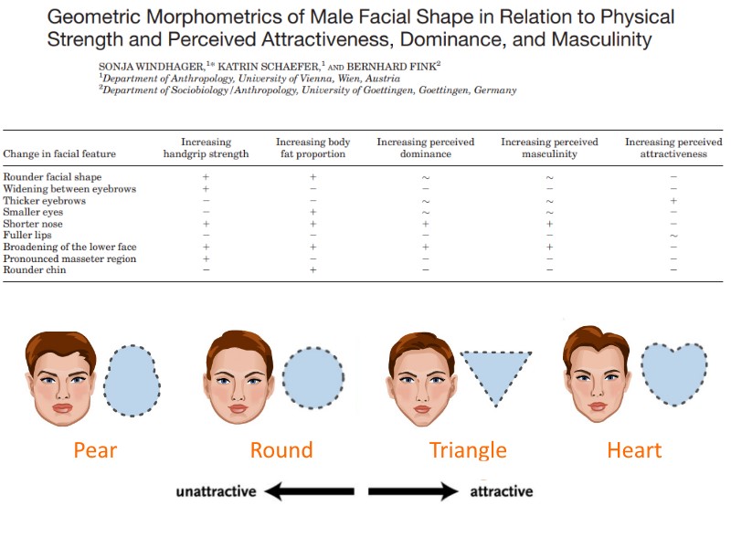 male face shapes attractive