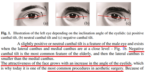 What is an Eye canthal Tilt? Why is a positive tilt more attractive than a  negative tilt among females? - PinkMirror Blog