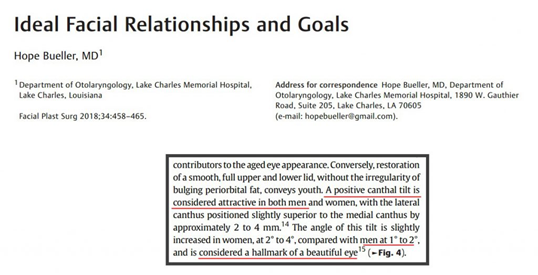 What is an Eye canthal Tilt? Why is a positive tilt more attractive than a  negative tilt among males? - PinkMirror Blog