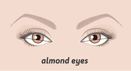 What is an Eye canthal Tilt? Why is a positive tilt more attractive than a  negative tilt among females? - PinkMirror Blog